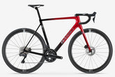 Candy Red 53cm 2024